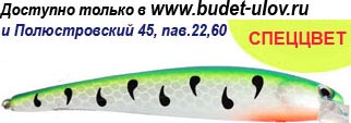 Воблеры фирмы bandit. Расцветка OL143