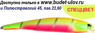 Воблеры фирмы bandit. Расцветка OL144